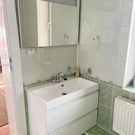 Vivat * Soločin